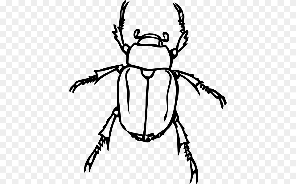 Beetle Bug Clip Art Cliparts, Animal, Baby, Person, Dung Beetle Free Transparent Png