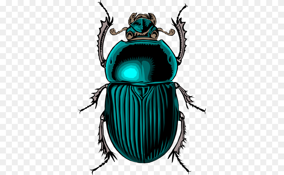 Beetle Bug Clip Art Free Vector, Animal, Dung Beetle, Insect, Invertebrate Png