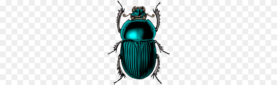 Beetle Bug Clip Art Vector, Animal, Dung Beetle, Insect, Invertebrate Free Png Download