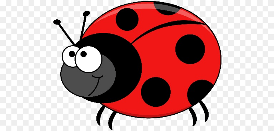 Beetle Cartoon Ladybug Free Png Download