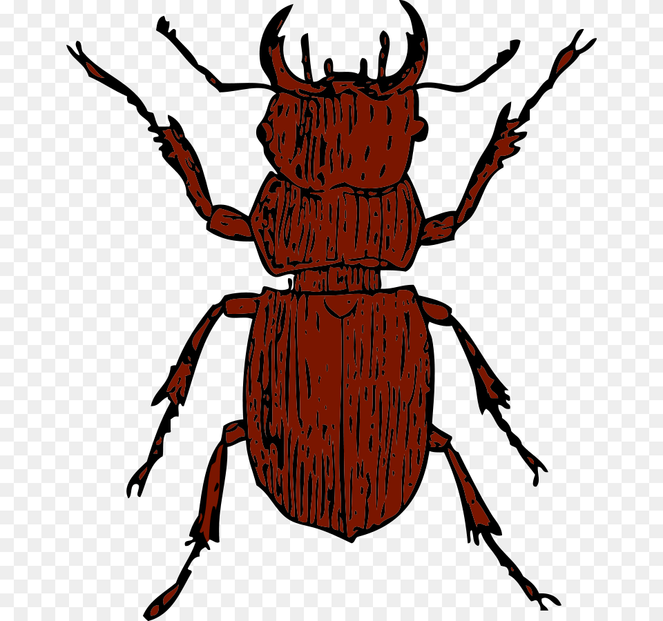 Beetle Clip Art, Person, Animal, Dung Beetle, Insect Png