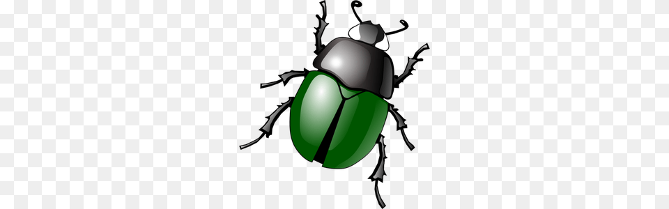 Beetle Clip Art, Animal, Dung Beetle, Insect, Invertebrate Free Png