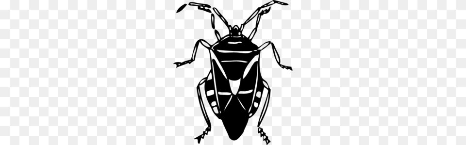 Beetle Clip Art, Gray Free Png