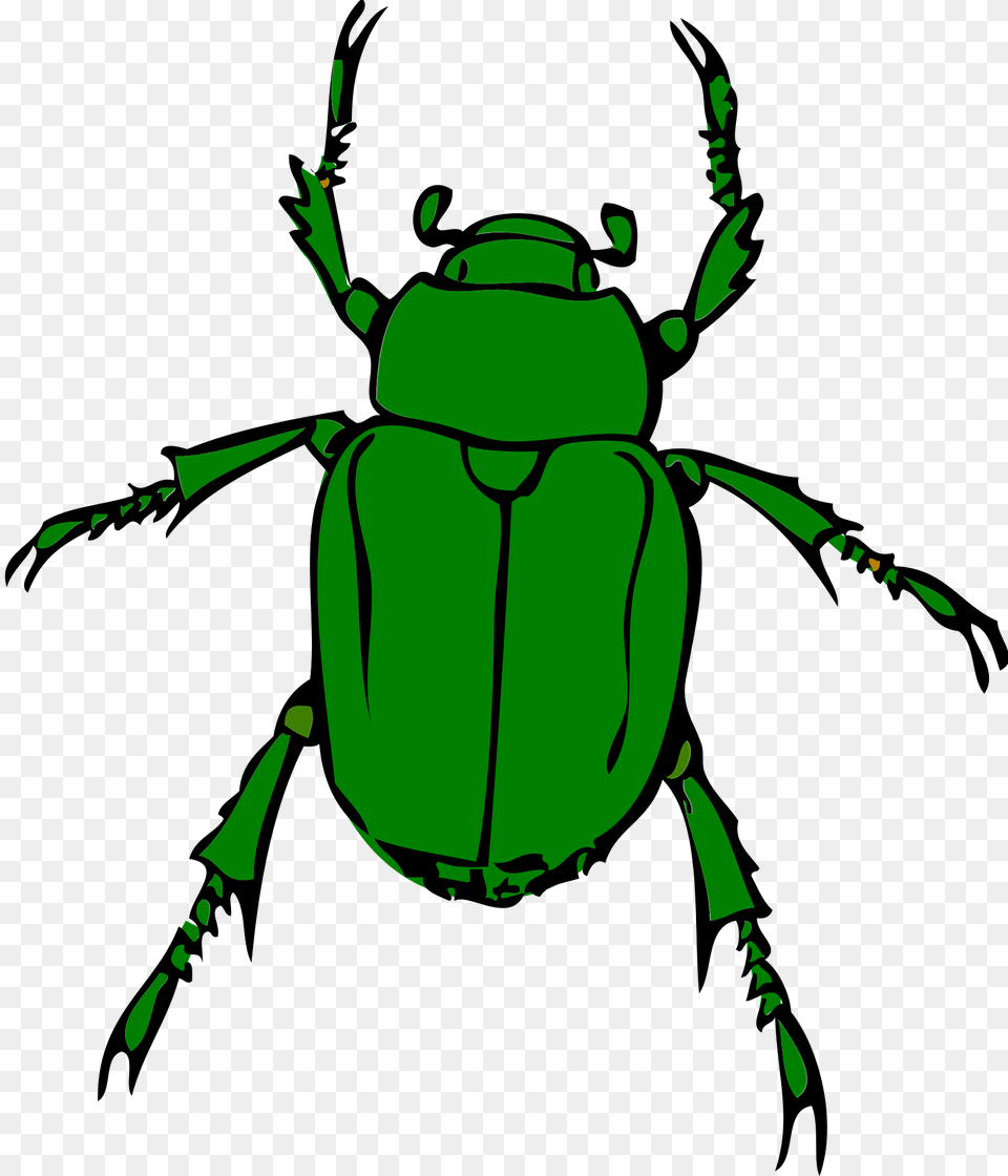 Beetle Clipart, Person, Animal, Dung Beetle, Insect Free Transparent Png