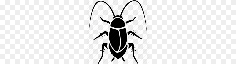Beetle Clipart, Animal, Cockroach, Insect, Invertebrate Free Png Download
