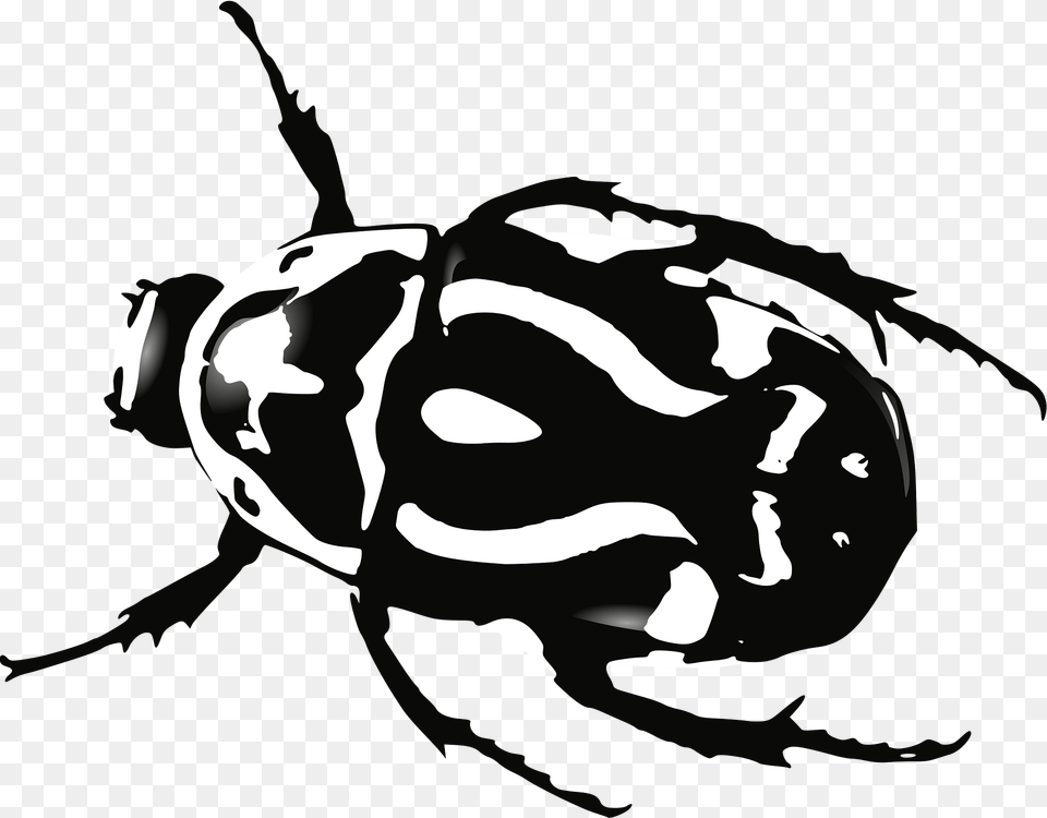 Beetle Clipart, Animal, Dung Beetle, Fish, Insect Png Image