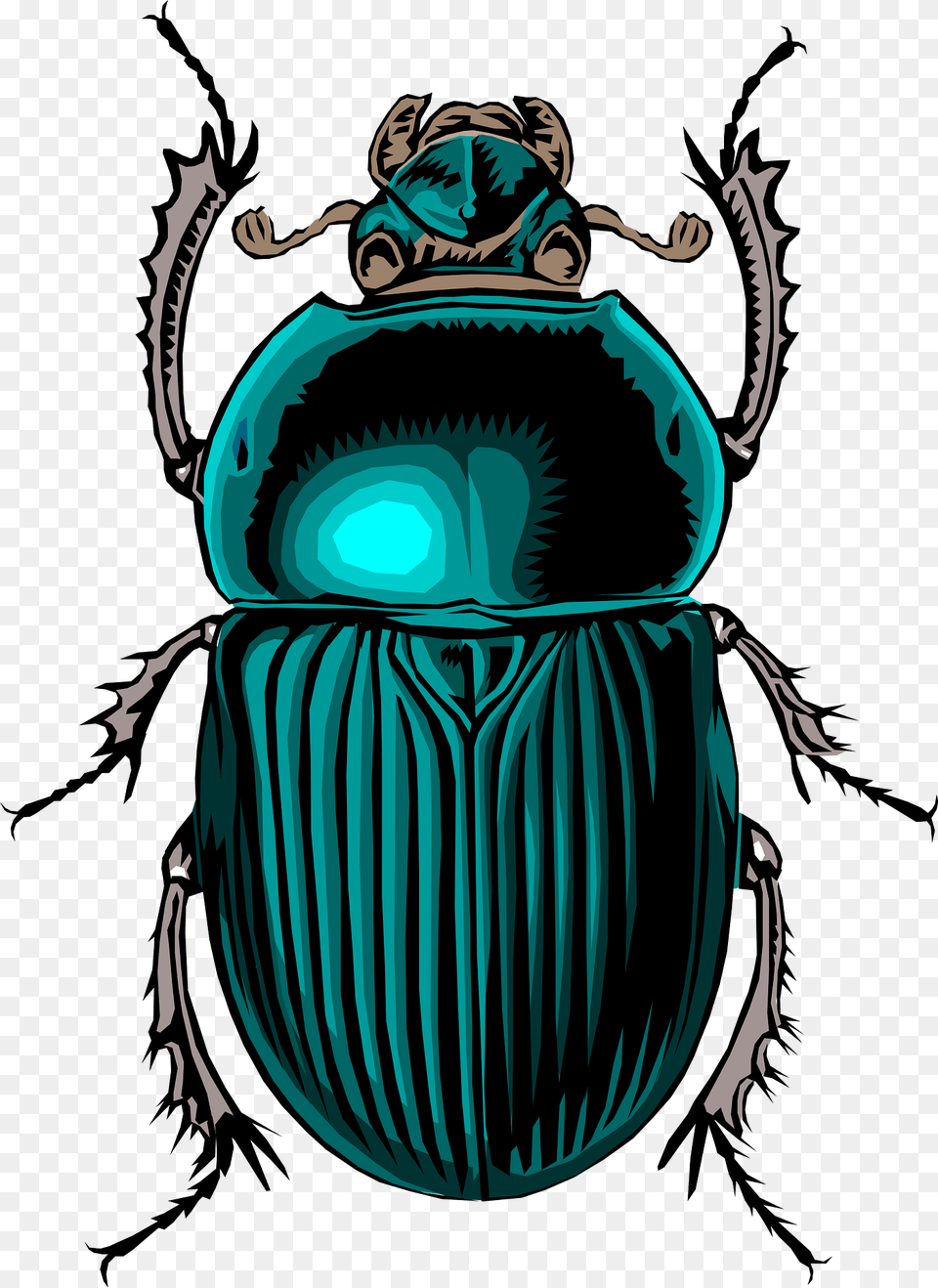 Beetle Clipart, Animal, Person, Dung Beetle, Insect Png