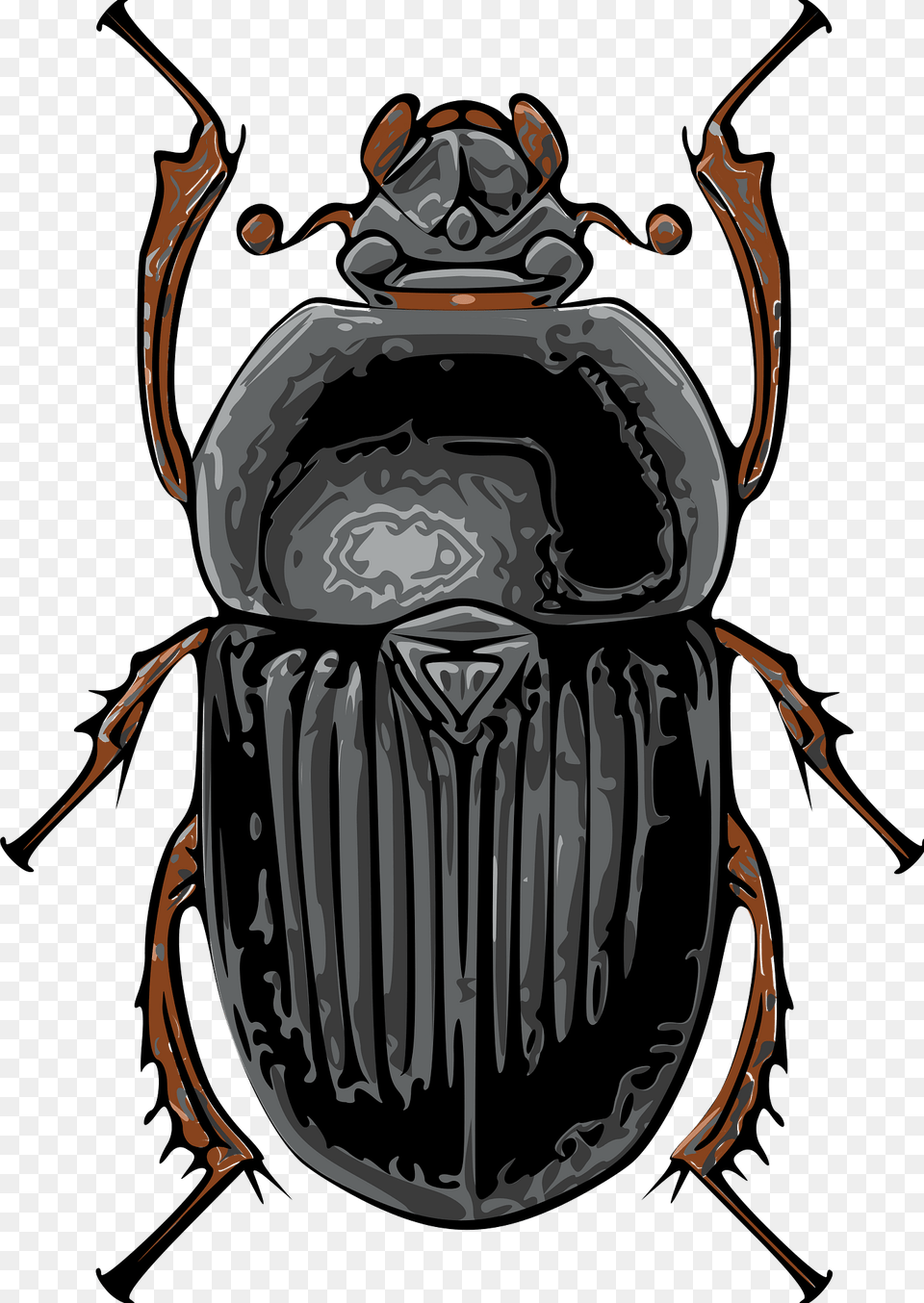 Beetle Clipart, Animal, Dung Beetle, Insect, Invertebrate Free Transparent Png