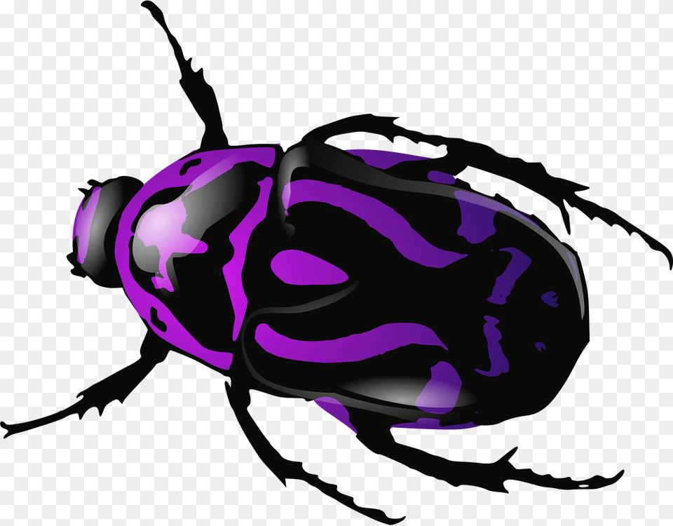 Beetle Clipart, Animal, Person, Dung Beetle, Insect Free Transparent Png