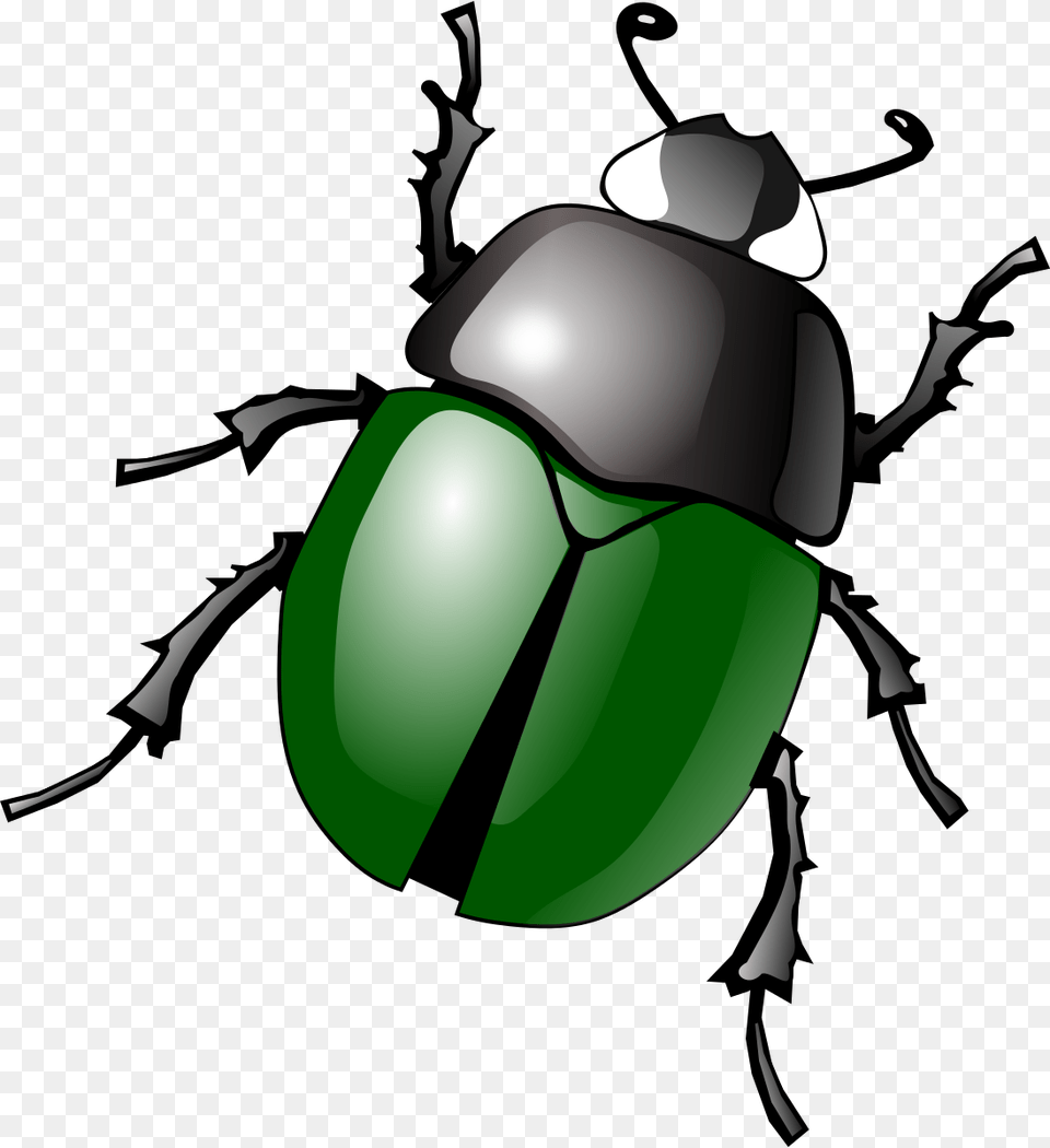 Beetle Clipart Bettle, Person, Animal, Dung Beetle, Insect Free Png