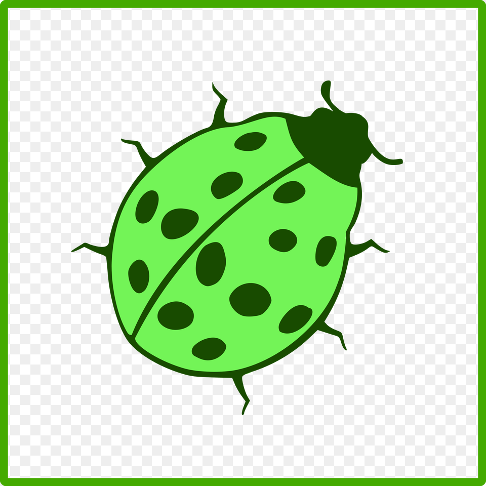 Beetle Clipart Green, Leaf, Plant, Animal, Reptile Free Png