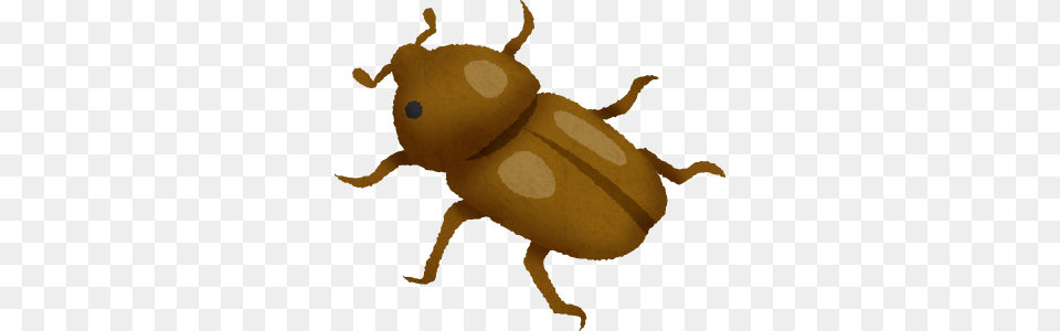 Beetle Clipart Hercules Beetle, Animal, Baby, Person Free Png Download