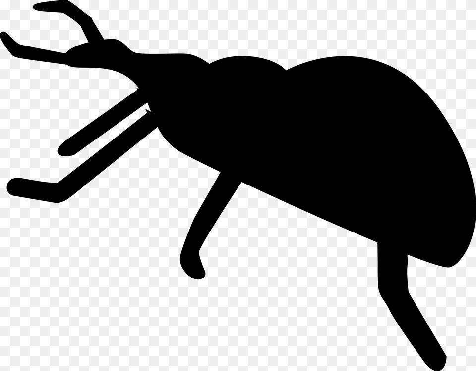 Beetle Clipart Silhouette, Gray Png