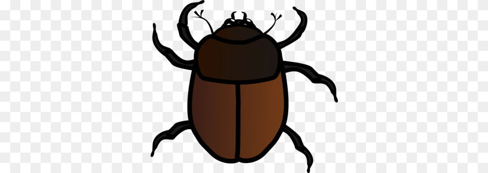Beetle European Firebug True Bugs Drawing Nymph, Animal, Dung Beetle, Insect, Invertebrate Free Png