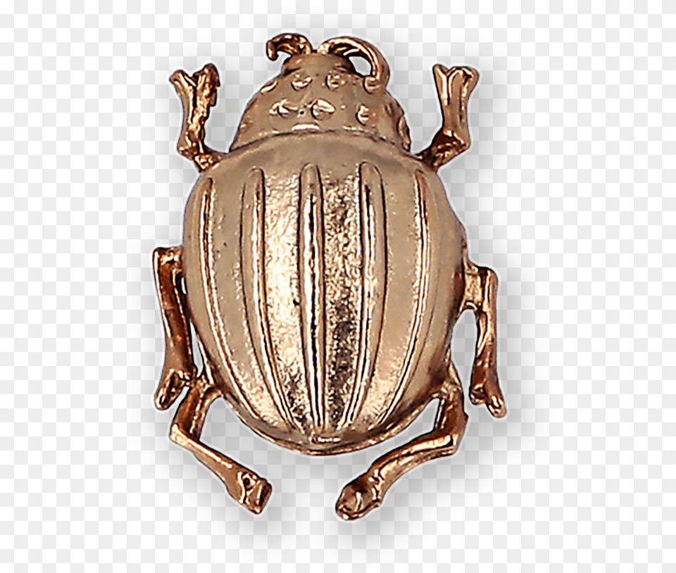 Beetle Gold Plated Brooch Ss19 Collection Pal Zileri Dung Beetle, Animal, Dung Beetle, Insect, Invertebrate Free Png