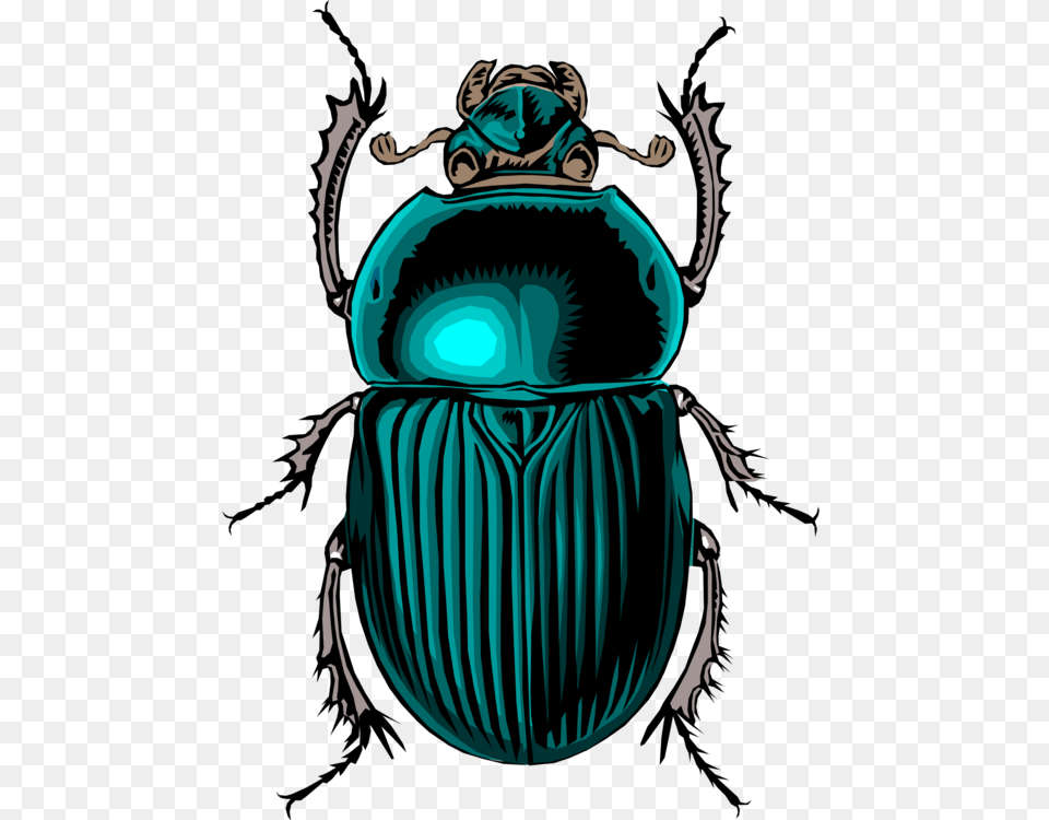 Beetle Insect Bug Scarab Stink Dung, Animal, Person, Dung Beetle, Invertebrate Png Image