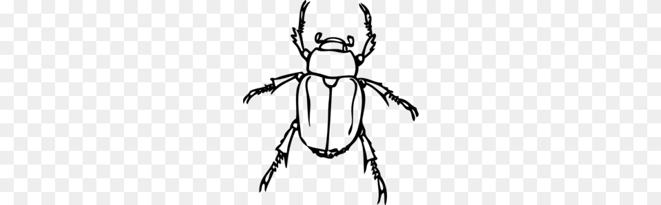 Beetle Outline Clip Art, Gray Free Png Download