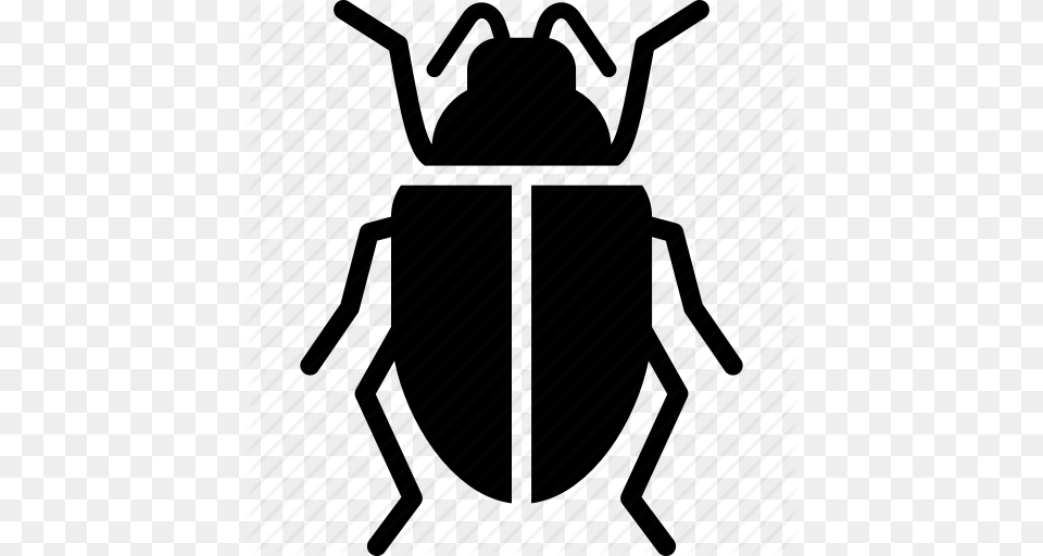 Beetle Scarab Scarabaeus Icon, Animal, Architecture, Building Png