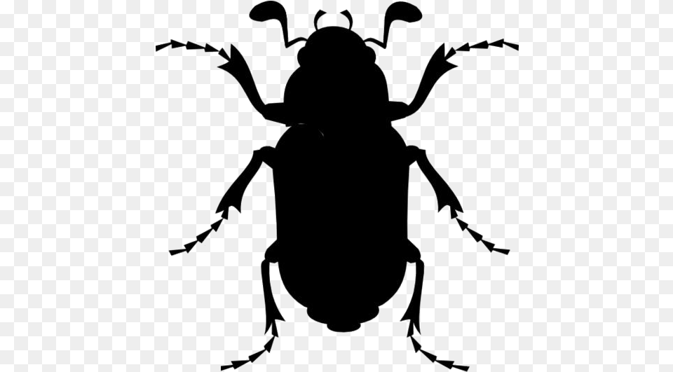 Beetle Transparent Cartoon Cockroach, Animal, Kangaroo, Mammal Png Image