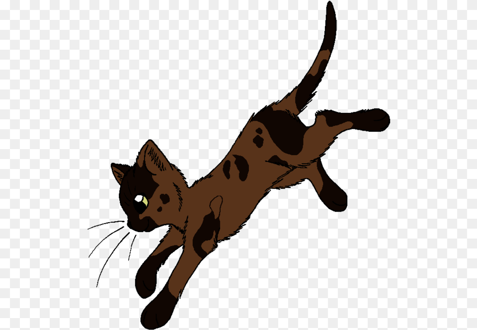 Beetle Warrior Cats Sparrowfeather, Animal, Cat, Mammal, Pet Free Png