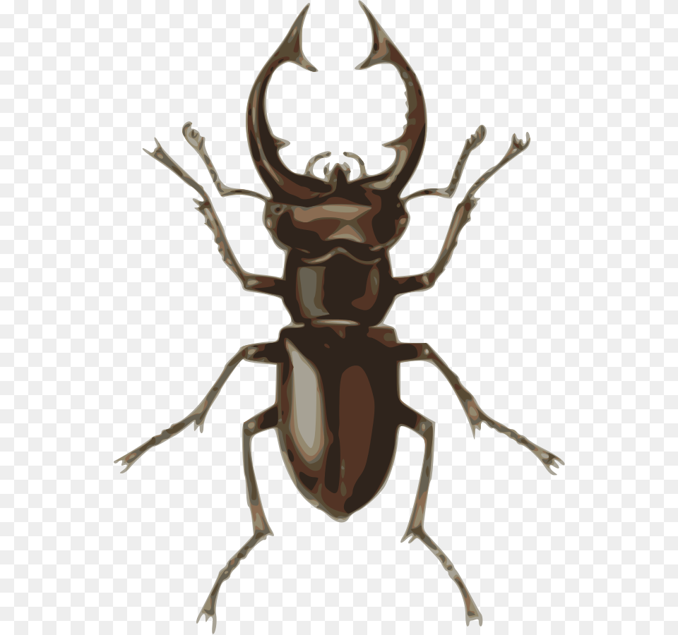 Beetles Clipart Clip Art, Animal, Person Free Png