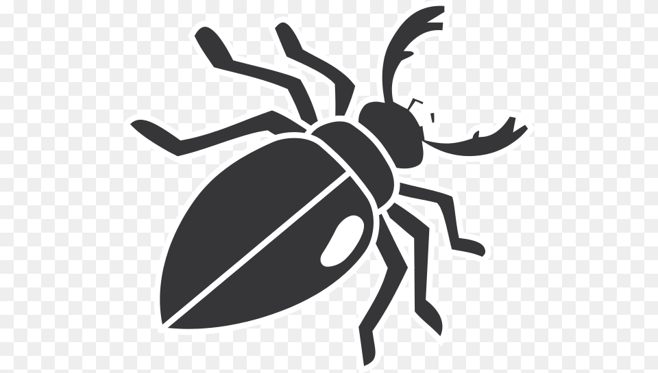 Beetles Clipart Clip Art Beetle Clipart, Animal, Bee, Insect, Invertebrate Free Transparent Png