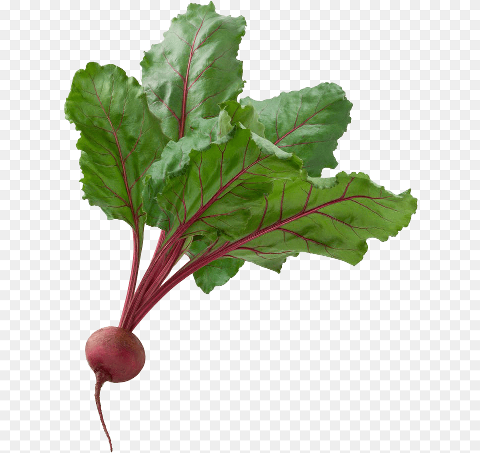 Beetroot Clip Art Amp Beetroot Image Jamba Juice Coupon 2011, Food, Plant, Produce Free Png Download