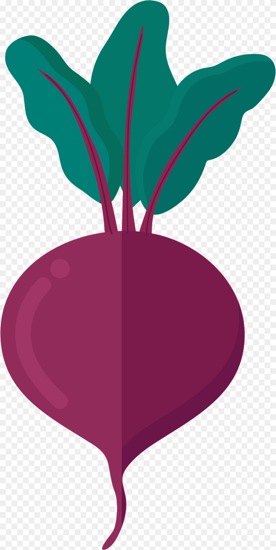 Beetroot Clipart, Food, Produce, Plant, Radish Png
