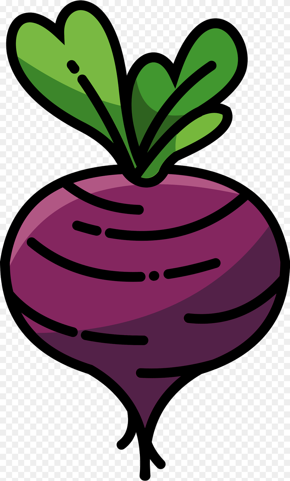 Beetroot Clipart, Food, Produce, Plant, Turnip Png Image