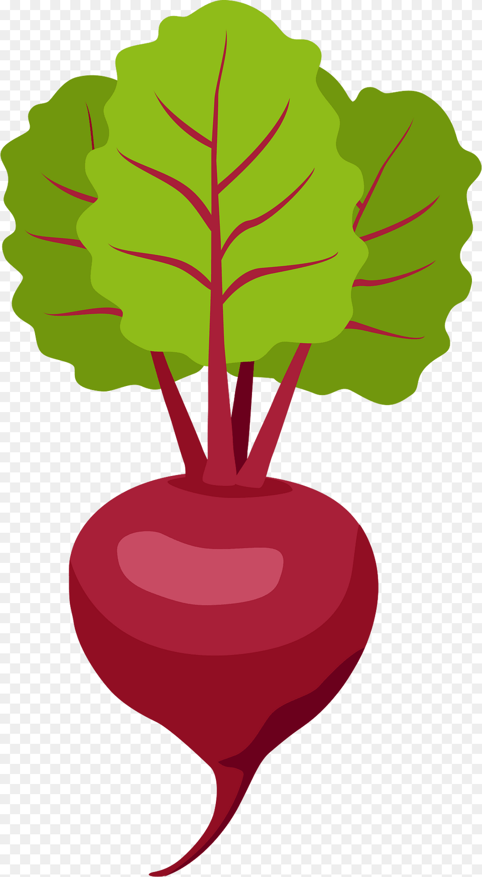 Beetroot Clipart, Food, Produce, Plant, Radish Free Transparent Png