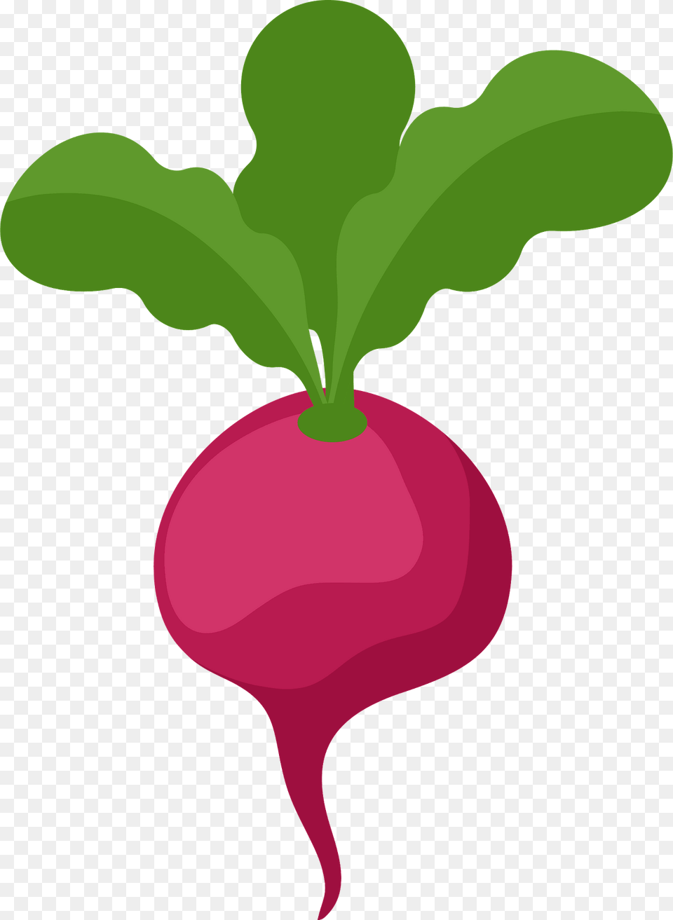 Beetroot Clipart, Food, Produce, Plant, Radish Png