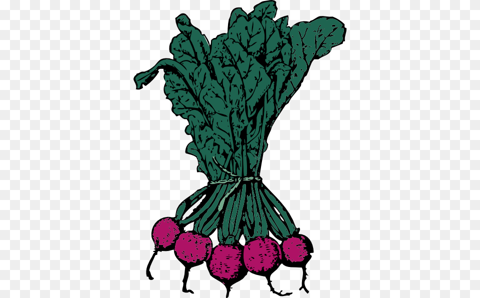 Beetroot Clipart Clip Art, Food, Produce, Person, Vegetable Free Transparent Png