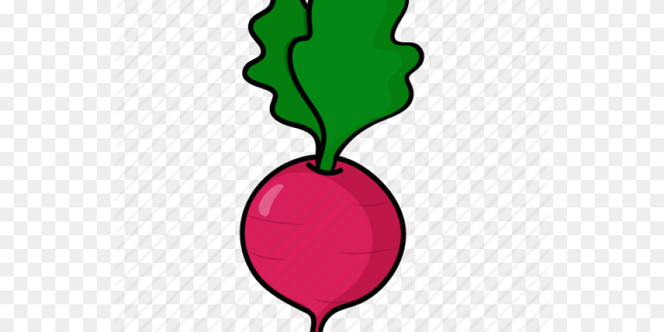 Beetroot Clipart Clip Art, Food, Plant, Produce, Radish Png