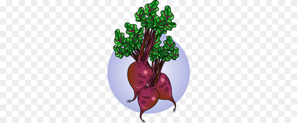 Beetroot Clipart Plant, Food, Produce, Chandelier, Lamp Png Image