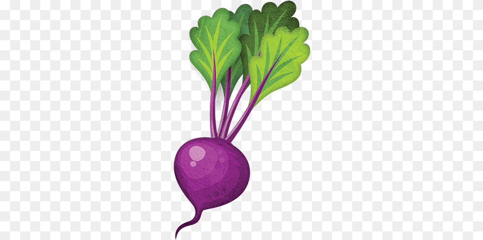 Beetroot Remolacha Dibujo, Food, Plant, Produce, Turnip Png Image