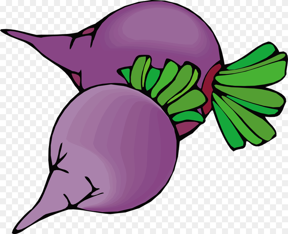 Beetroot Sugar Beet Vegetable Clip Art, Food, Produce, Plant, Turnip Free Png Download