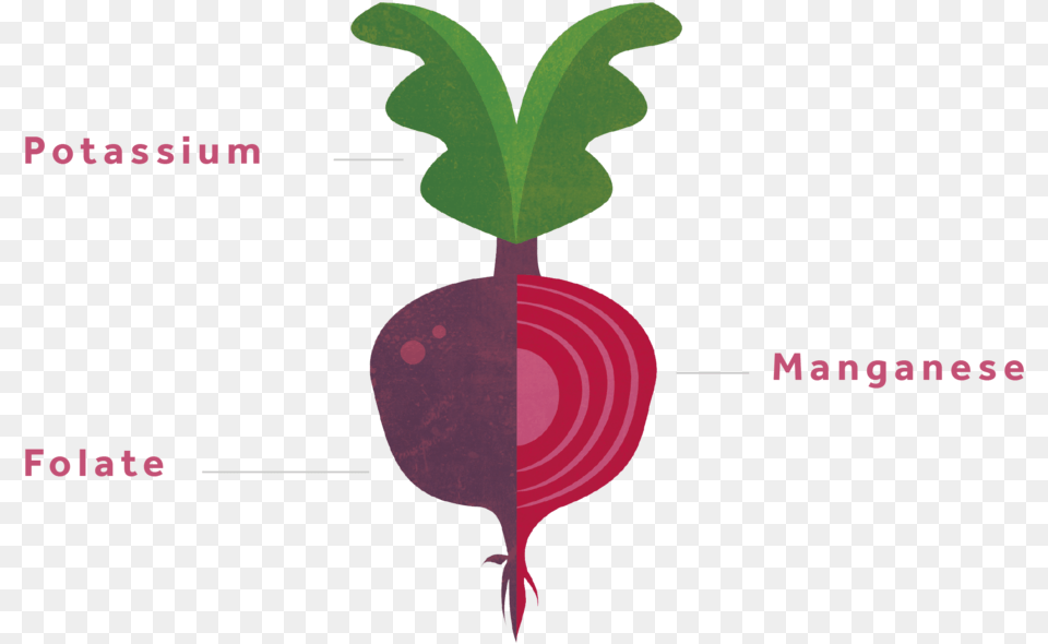 Beets 01 Beetroot, Food, Plant, Produce, Radish Free Png