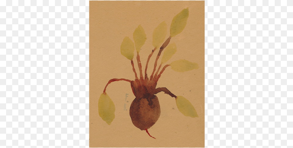 Beets Beetroot, Art, Painting, Plant, Animal Png Image