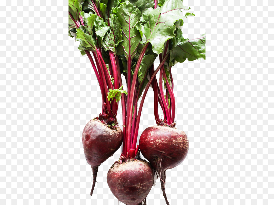 Beets Loose, Food, Produce, Plant, Turnip Png