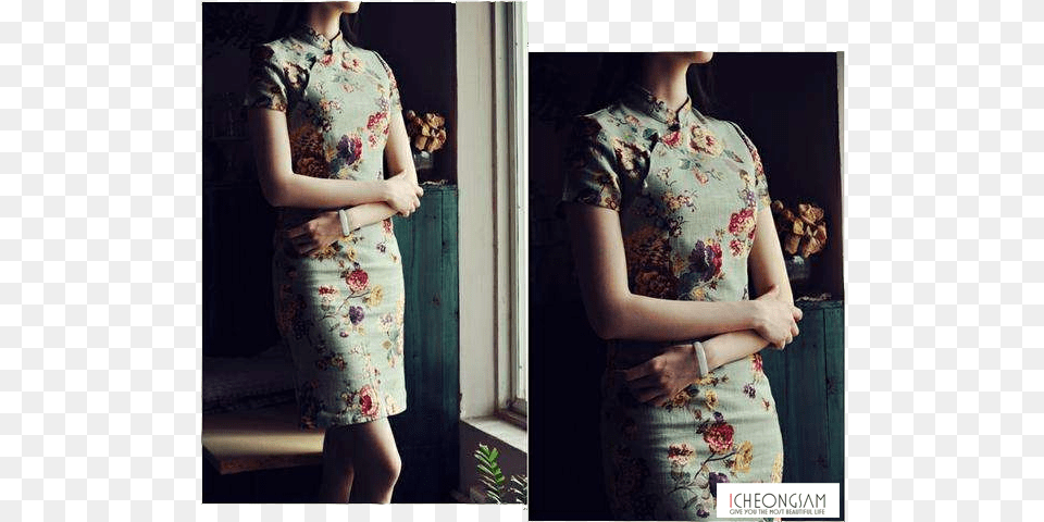 Beginner Guide To Buy Qipao Dress Cheongsam, Adult, Person, Woman, Female Png Image