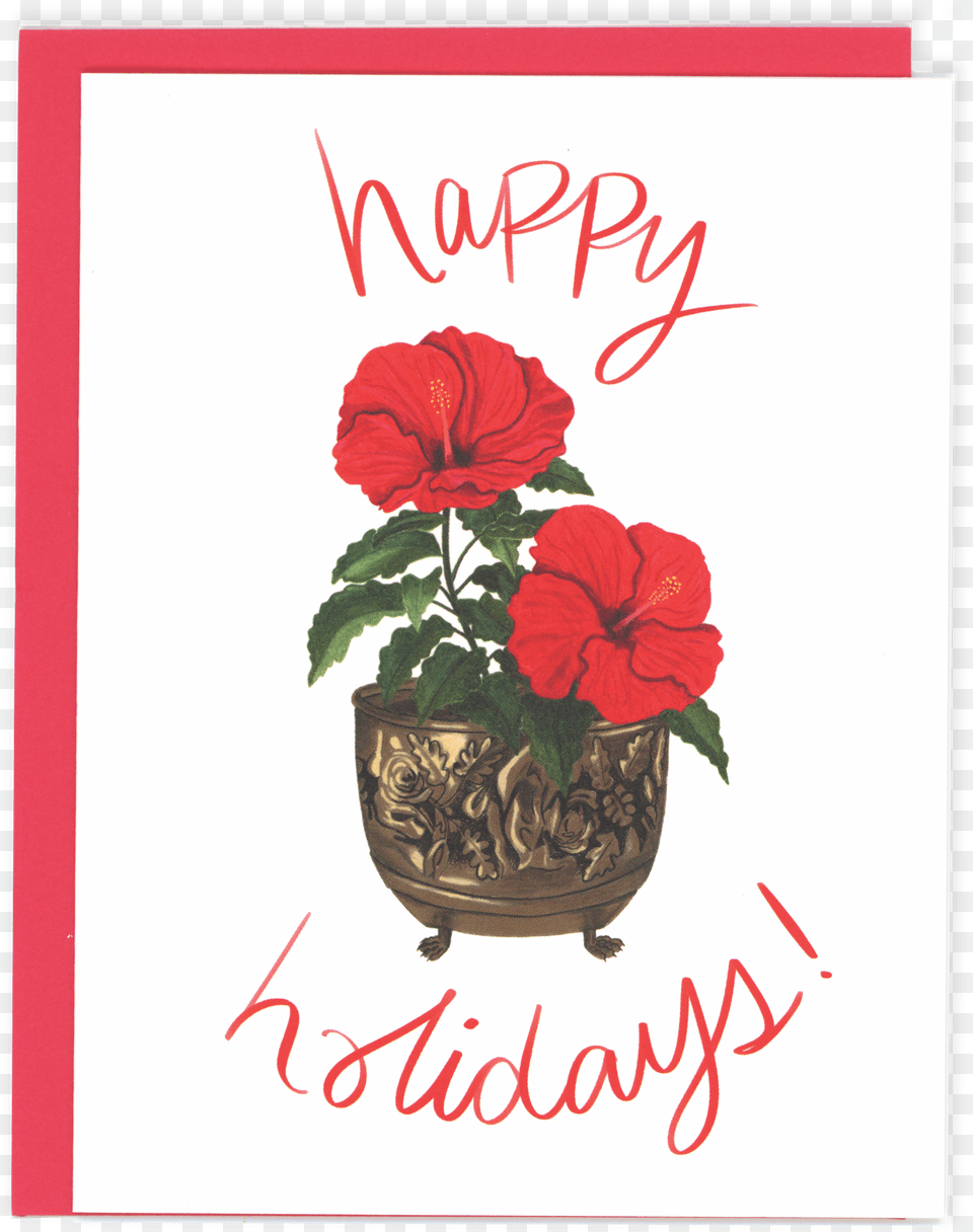 Begonia, Envelope, Plant, Mail, Greeting Card Png Image