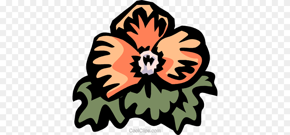 Begonia Royalty Vector Clip Art Illustration, Flower, Plant, Baby, Person Free Png Download