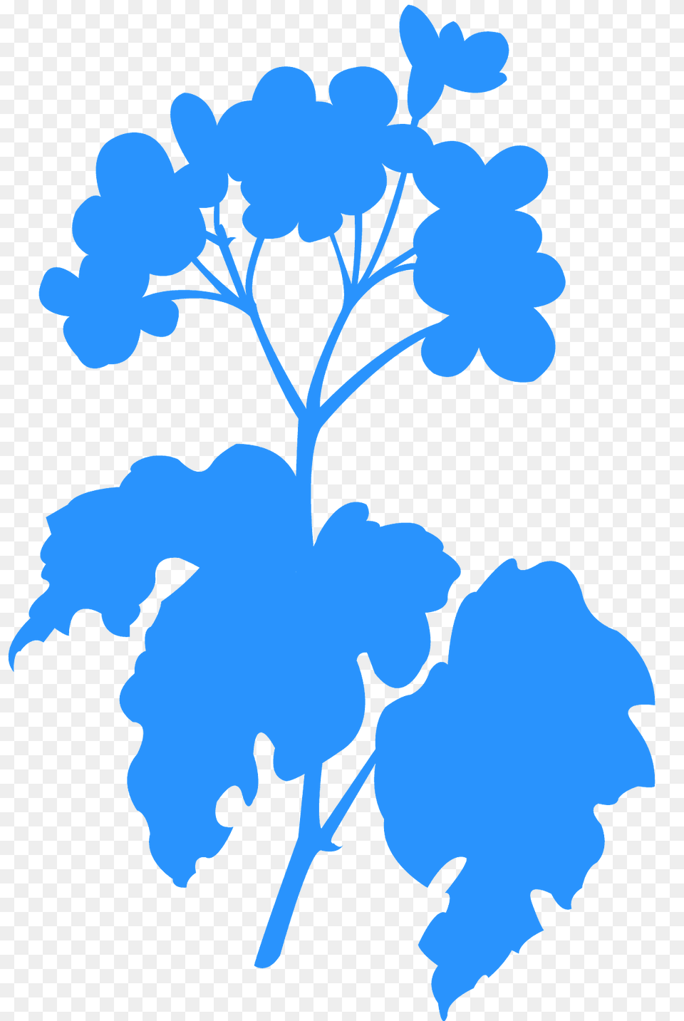 Begonia Silhouette, Leaf, Plant, Flower, Geranium Png Image