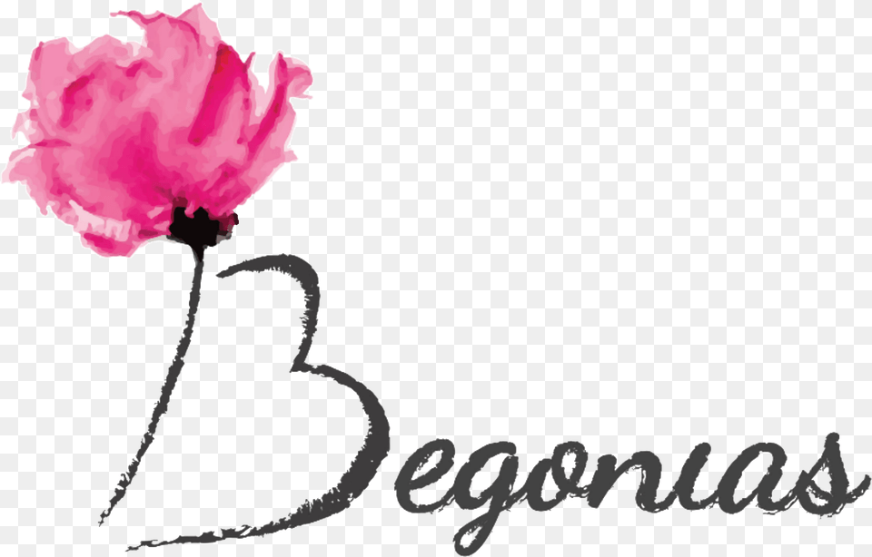 Begonias Flores Flower Painting Watercolor Art Print, Carnation, Petal, Plant, Rose Png