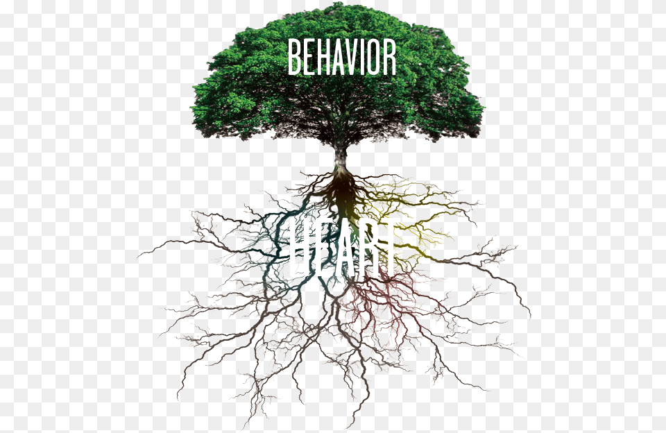 Behavior And Heart Tree With Roots, Plant, Root, Moss Free Png