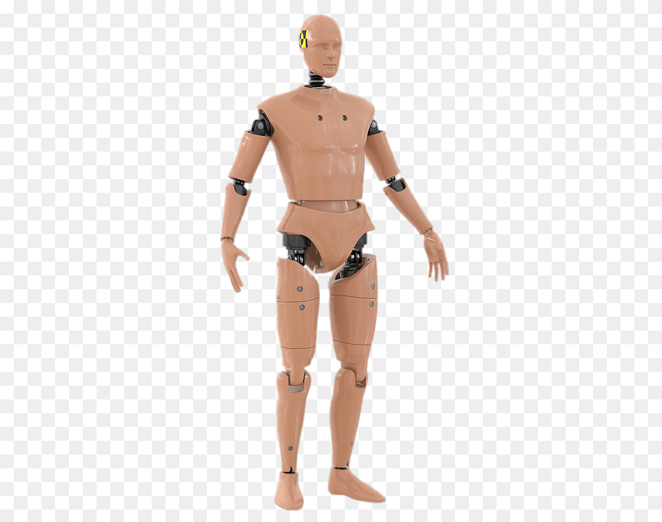 Beige Crash Test Dummy, Adult, Male, Man, Person Png