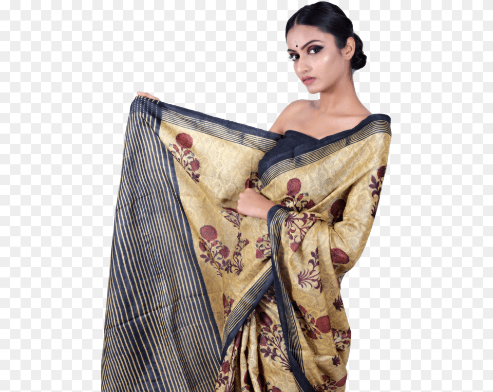 Beigeblack Tussar Silk Saree Photo Shoot, Adult, Person, Woman, Female Free Png