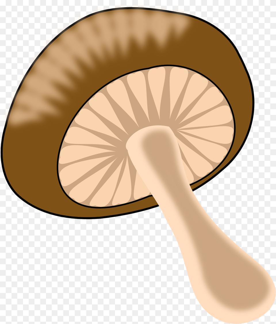 Beigeedible Mushroommushroom Food Mushroom Clipart, Agaric, Fungus, Plant, Amanita Png