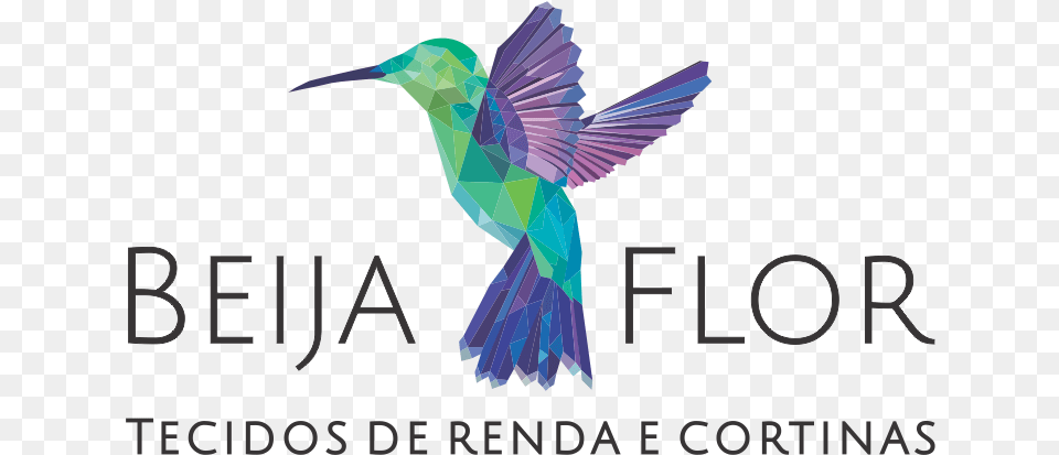 Beija Flor Hummingbird, Animal, Bird, Person, Bee Eater Png