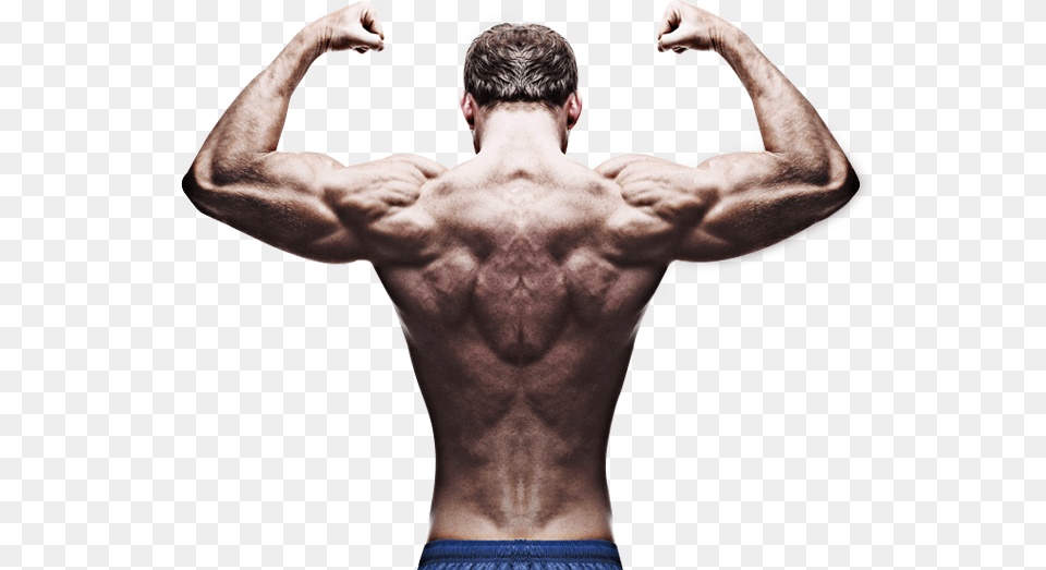 Being Builder Bodybuilder Back Pose, Body Part, Person, Adult, Male Png